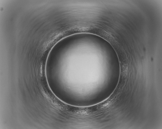 X0000057090358200509161635