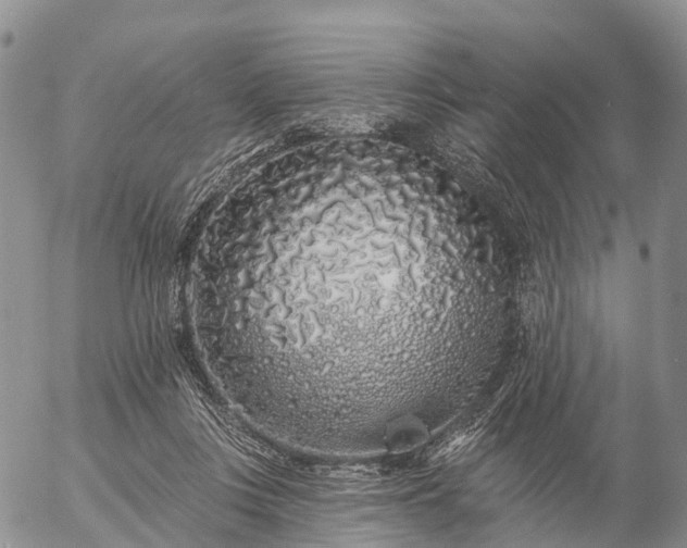 X0000057090359200509161635