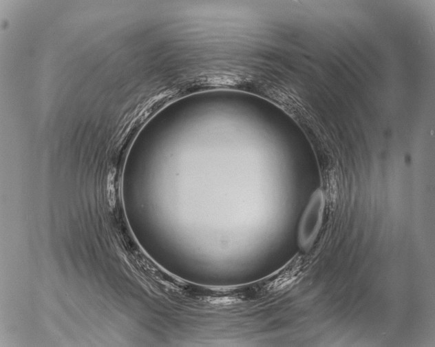 X0000057090360200509161635