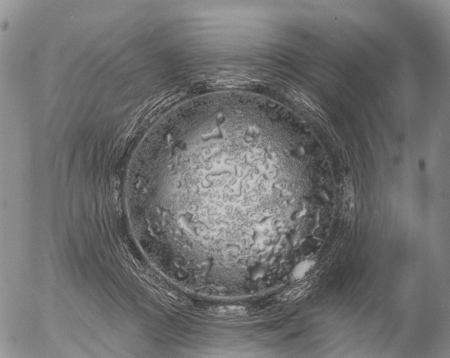 X0000057090361200509161635