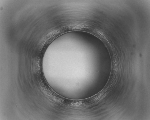 X0000057090362200509161635