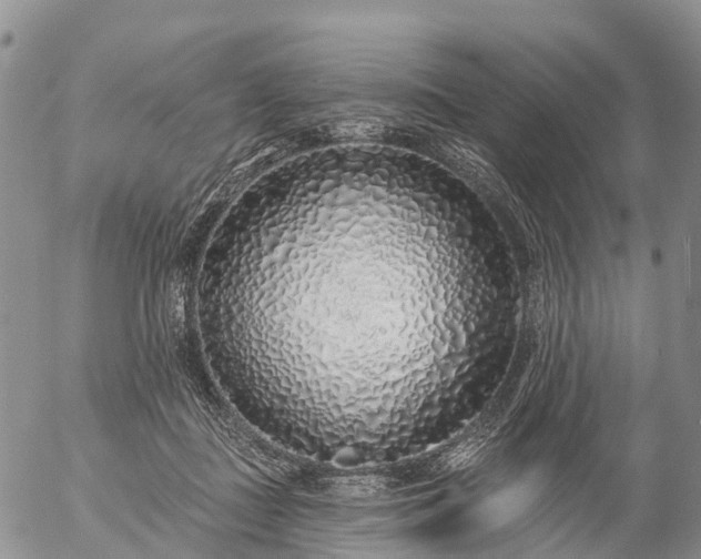 X0000057090363200509161635