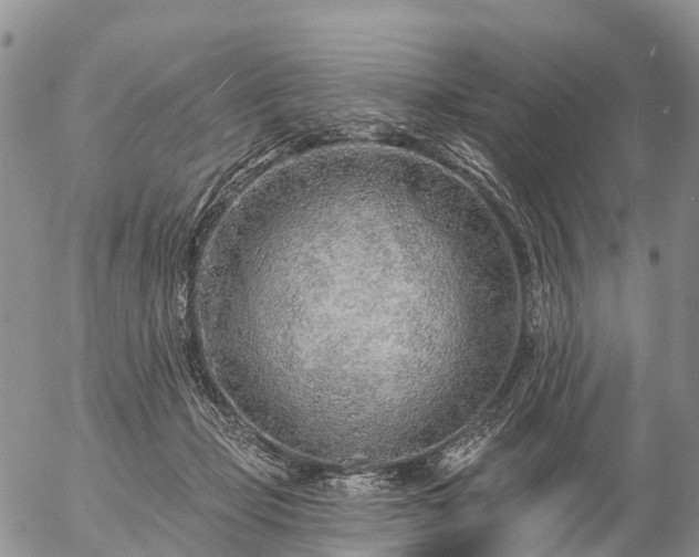 X0000057090365200509161635