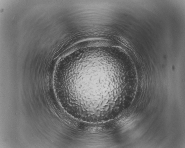 X0000057090366200509161635