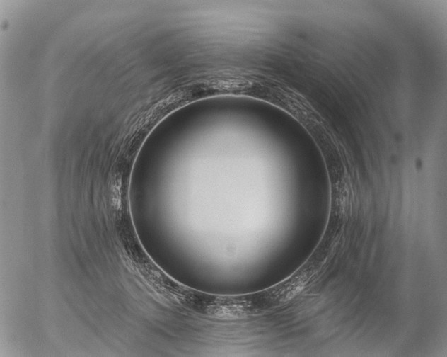 X0000057090368200509161635