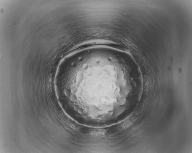 X0000057090369200509161635