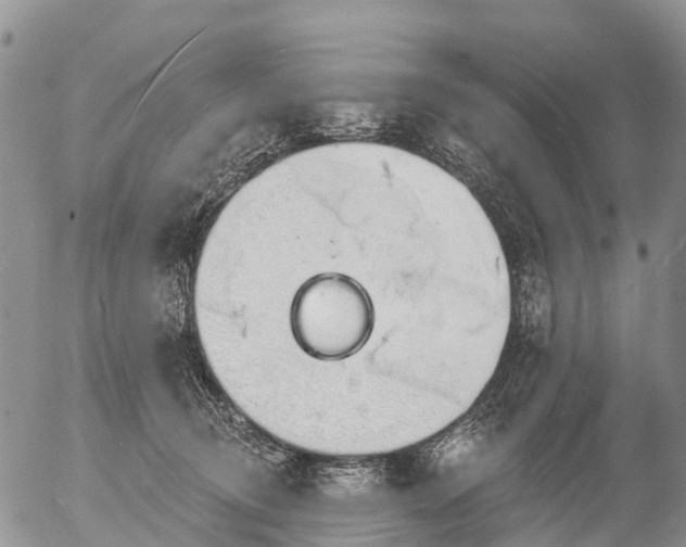 X0000057090370200509161635