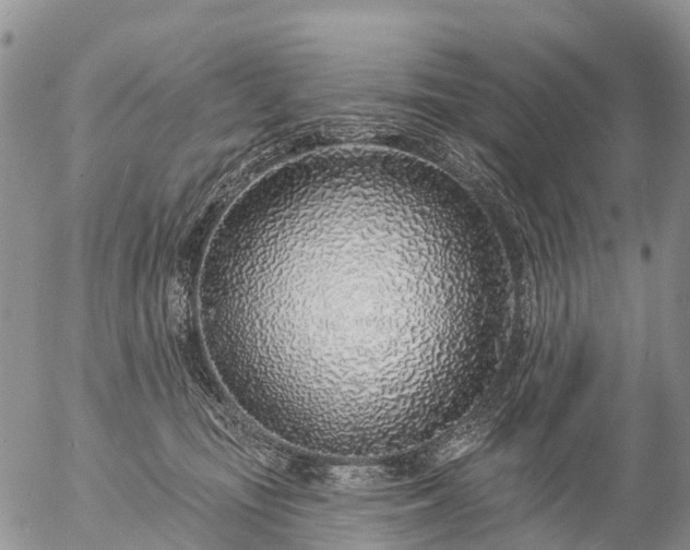 X0000057090371200509161635