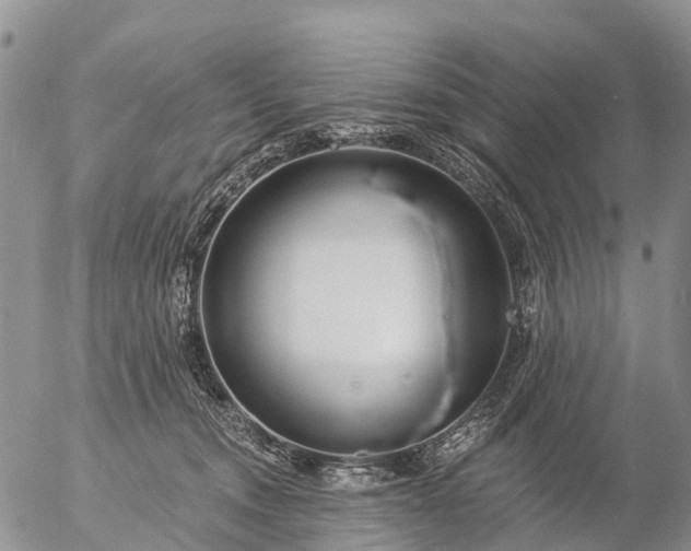 X0000057090372200509161635