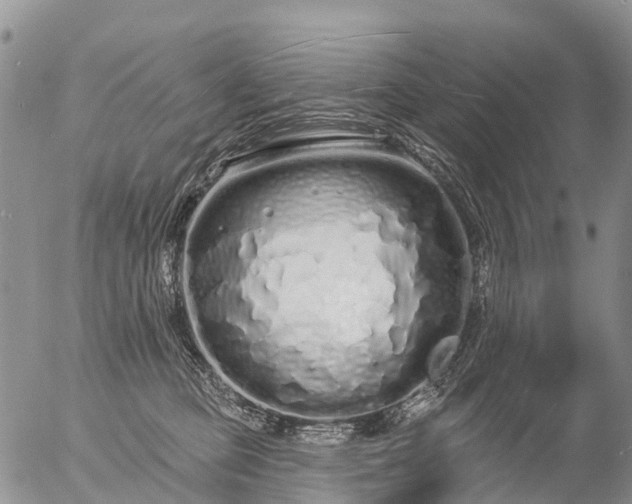 X0000057090373200509161635