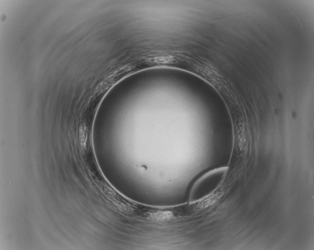 X0000057090374200509161635