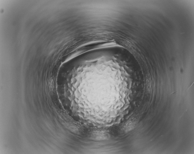 X0000057090375200509161635