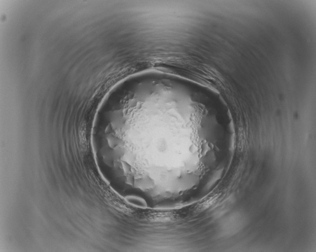 X0000057090377200509161635