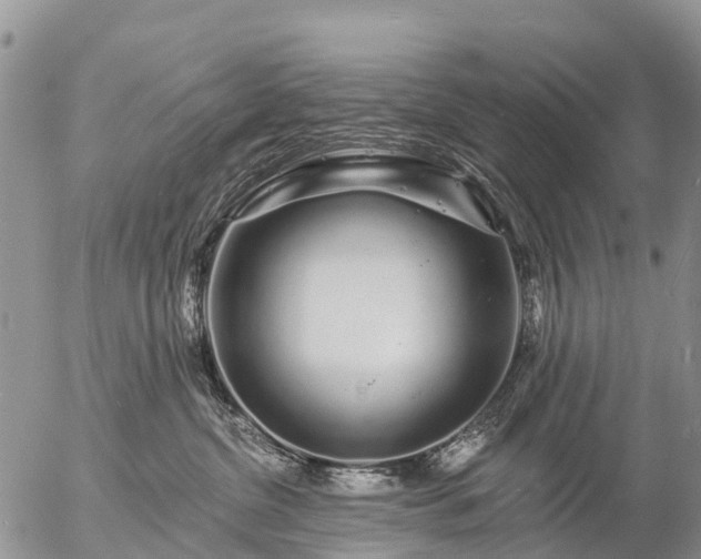 X0000057090380200509161635