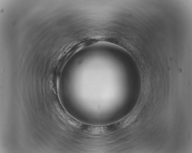 X0000057090384200509161635