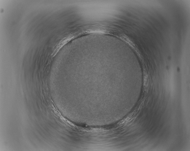 X0000057090385200509161635