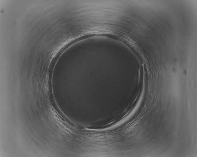 X0000057090387200509161635