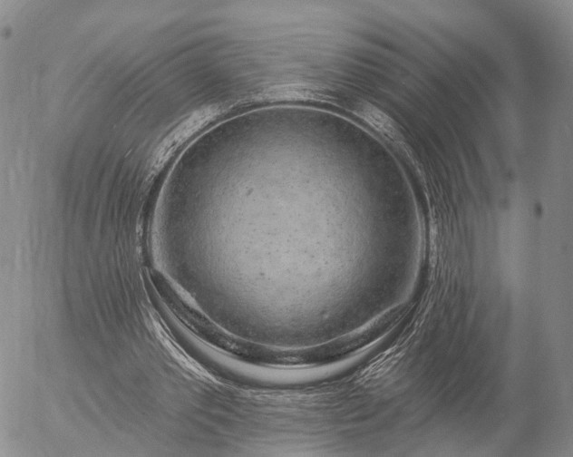 X0000057090389200509161635