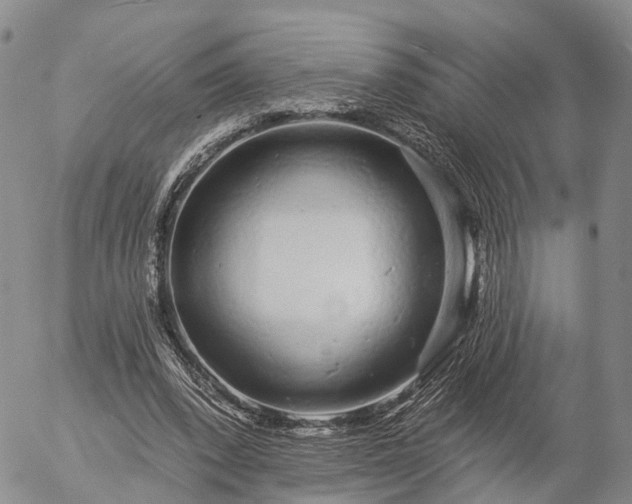 X0000057090392200509161635