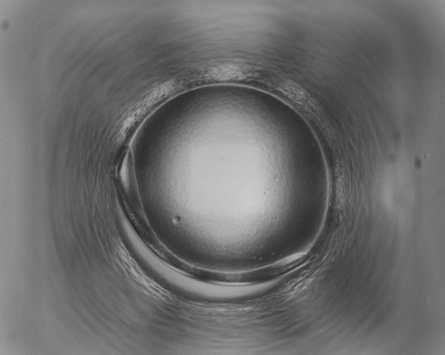 X0000057090393200509161635