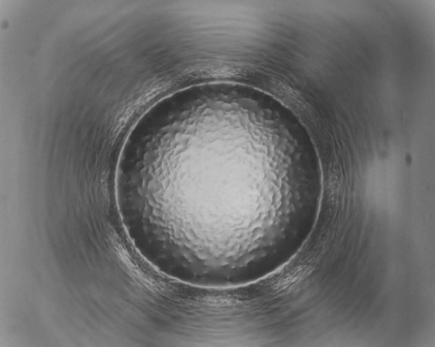 X0000057090394200509161634