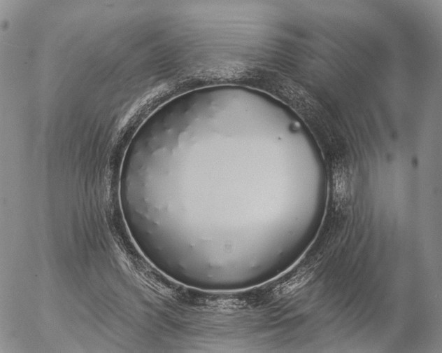 X0000057090396200509161634