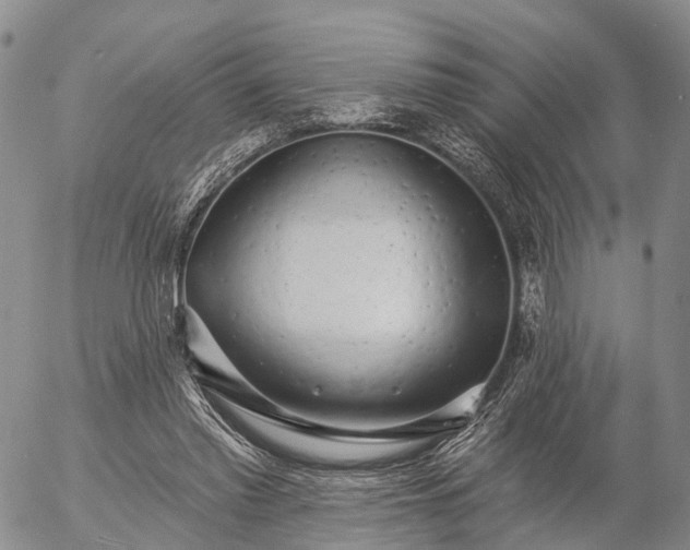 X0000057090397200509161634