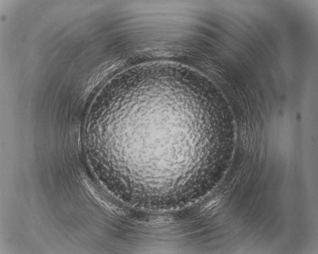 X0000057090398200509161634