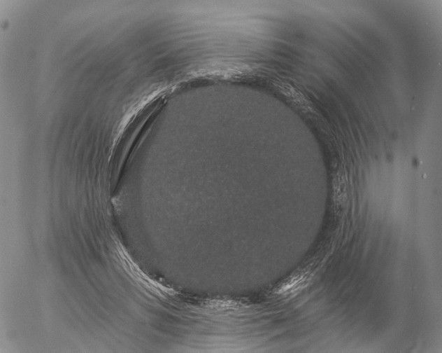 X0000057090399200509161634