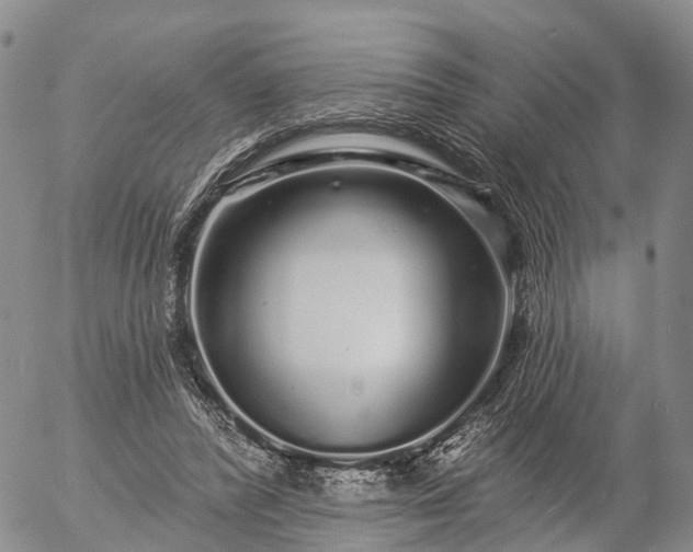 X0000057090400200509161634