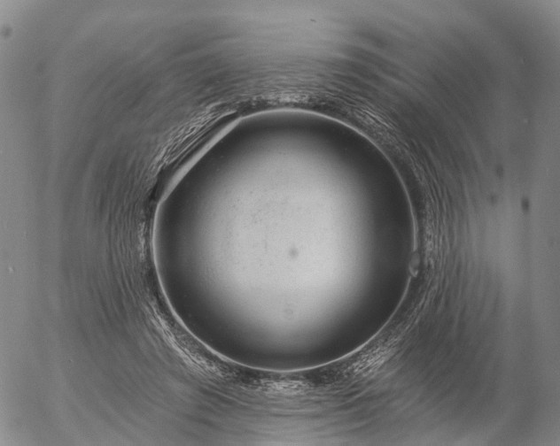 X0000057090401200509161634