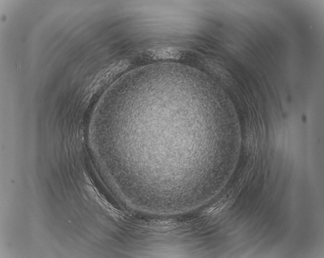 X0000057090402200509161634