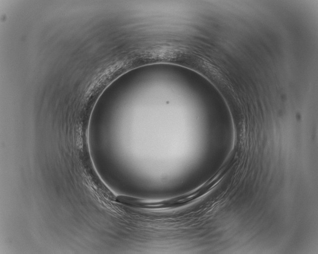 X0000057090403200509161634