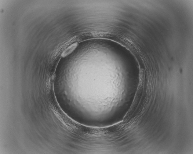 X0000057090405200509161634