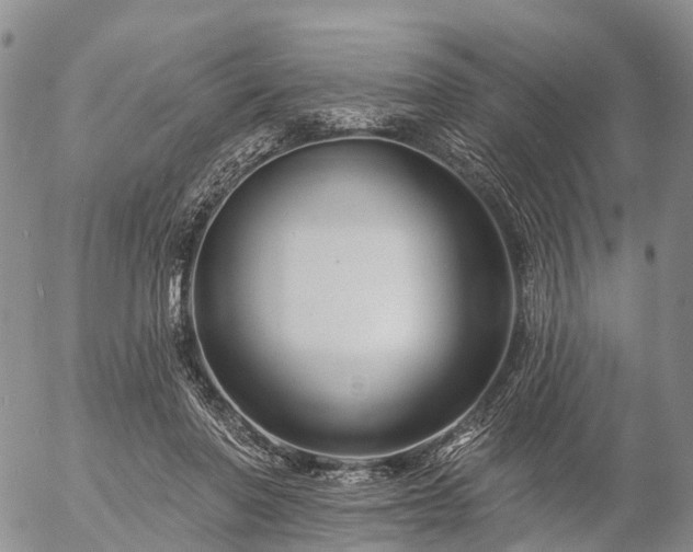 X0000057090406200509161634