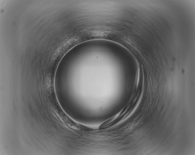 X0000057090407200509161634