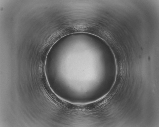 X0000057090408200509161634