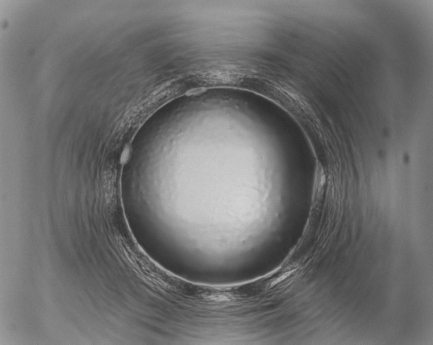 X0000057090409200509161634