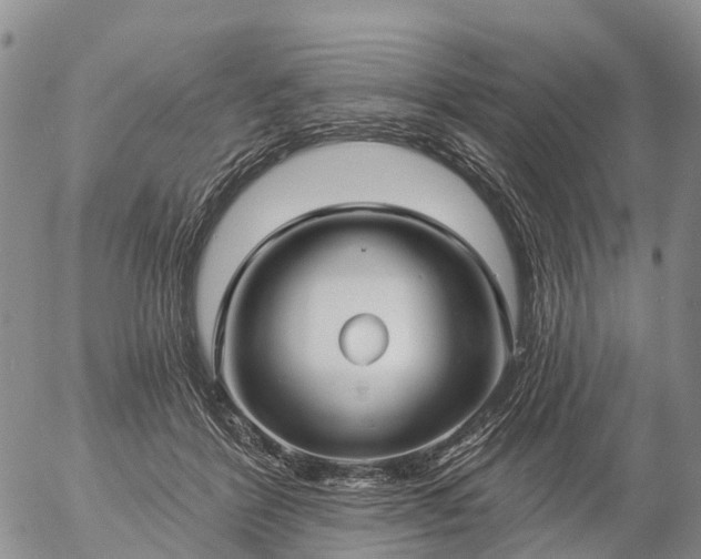 X0000057090412200509161634