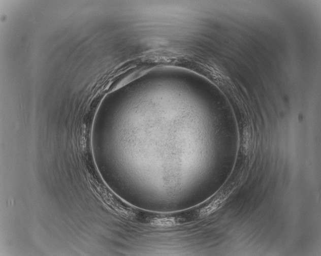 X0000057090413200509161634