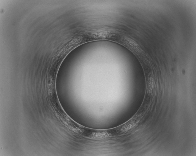 X0000057090414200509161634