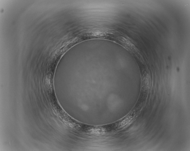 X0000057090415200509161634