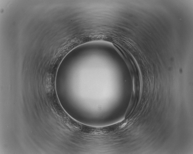 X0000057090416200509161634