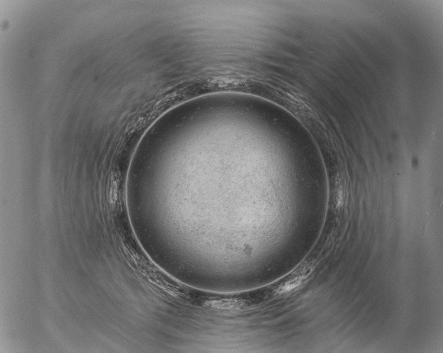 X0000057090417200509161634