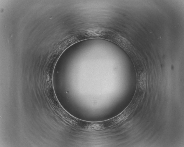 X0000057090418200509161634