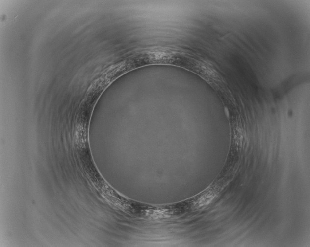 X0000057090419200509161634