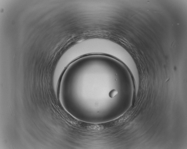 X0000057090421200509161634