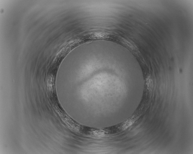 X0000057090423200509161634