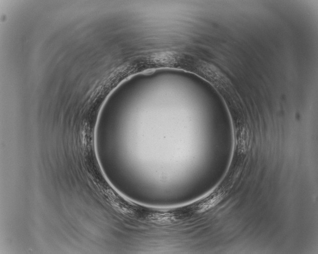 X0000057090424200509161634