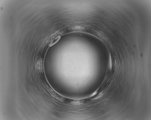 X0000057090425200509161634